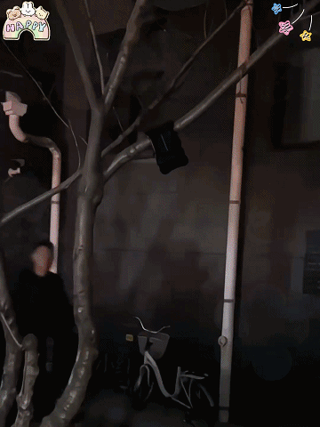 🌿 Solar clip light with motion sensor – 🔥Buy 2 now, get 1 free! Perfect for gardens, balconies, and patios! 🏡✨